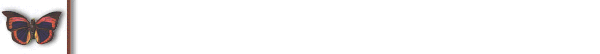 tumfjarilbord2.gif