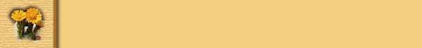 tussilago 