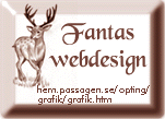 Fantas Webdesign